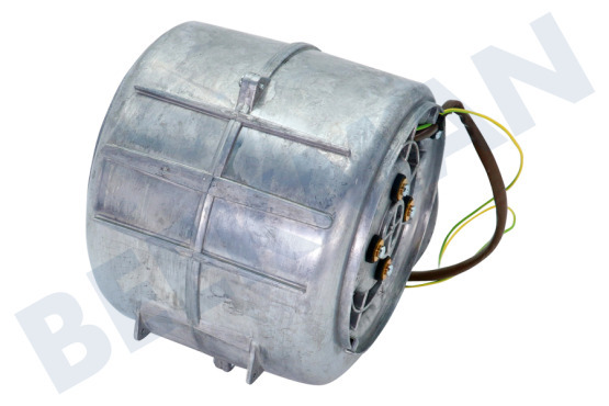 Pelgrim Afzuigkap Motor Compleet