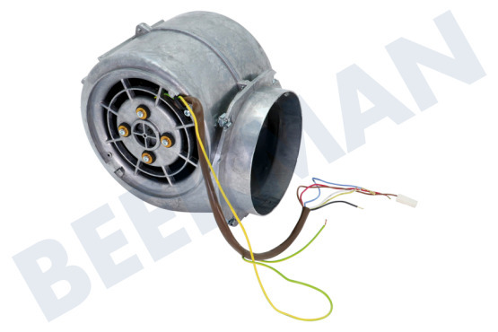 Pelgrim Afzuigkap Motor Compleet