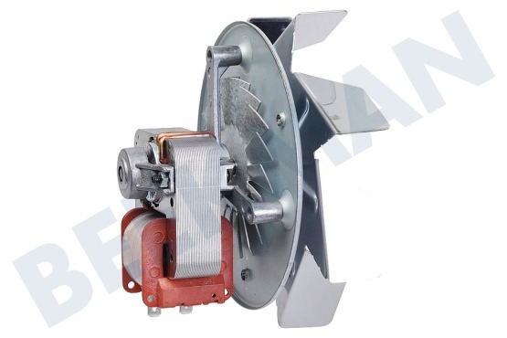 Smeg Oven-Magnetron Motor Hetelucht incl. waaier
