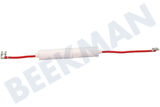 Etna Oven-Magnetron DE91-70061A Zekering 5kV 0.8AMP
