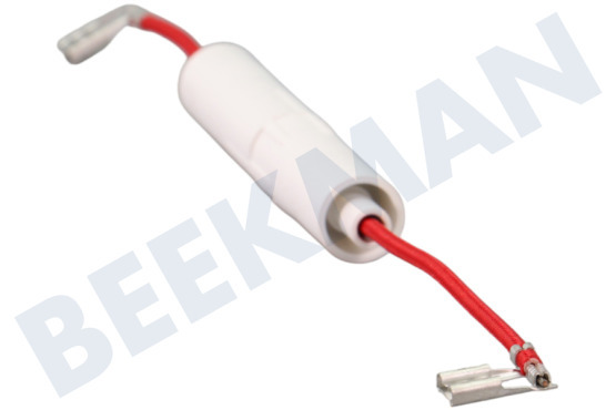 Etna Oven-Magnetron DE91-70061A Zekering 5kV 0.8AMP