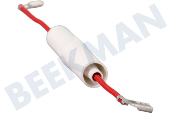 Etna Oven-Magnetron DE91-70061A Zekering 5kV 0.8AMP