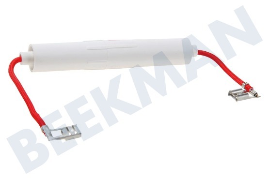 Pelgrim Oven-Magnetron DE91-70061H Zekering 5KV 900mA, met koker