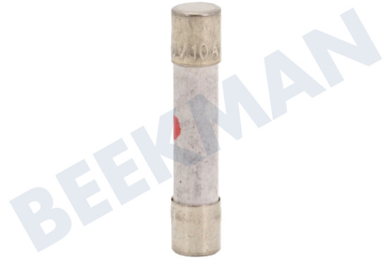 Samsung Oven-Magnetron 3601-000448 10A Zekering
