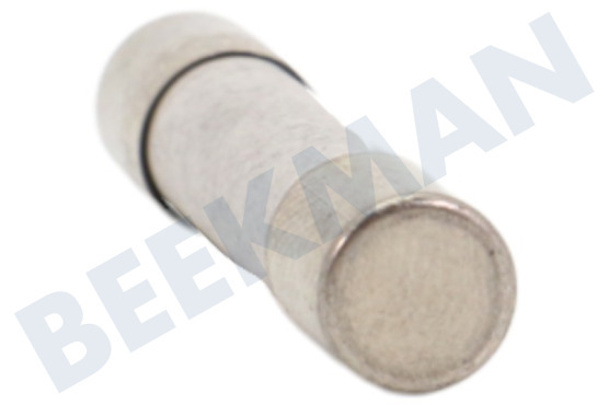 Samsung Oven-Magnetron 3601-000448 10A Zekering