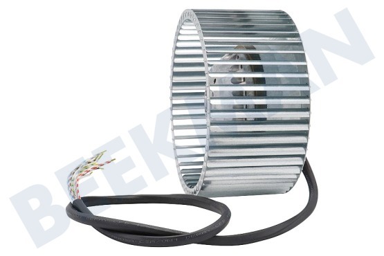 Novy Afzuigkap Motor