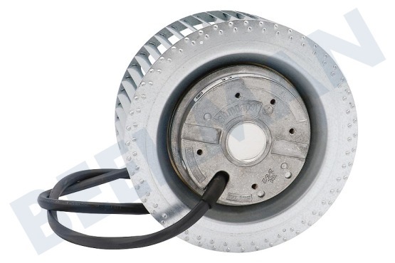 Novy Afzuigkap Motor