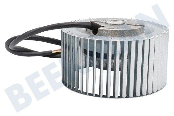 Novy Afzuigkap Motor