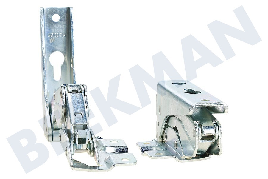 Philips Koelkast Scharnier Set