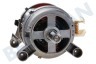 Aeg electrolux Wasmachine Motor Compleet, 1600 toeren