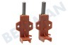 Ariston Waschmaschine 196539, C00196539 Kohlebürste in Halter MTR.00246090