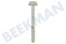 Constructa Waschmaschine 00627035 Transportbolzen
