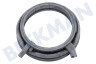 Siemens Waschmaschine Manschette