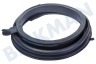 Siemens Waschmaschine 776047, 00776047 Manschette mit Ausguss und 2 Kompressionsringen