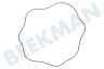 Bosch Waschmaschine 619808, 00619808 Lagersatz Lagerset komplett