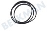 Siemens Wasmachine 678914, 00678914 Snaar 1252 J5 TEM