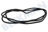 Bosch Wasmachine 12010820 Kuipafdichting