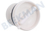 Bosch Wasmachine 53761, 00053761 Filter Pluizenzeef