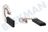 Bosch Waschmaschine 616505, 00616505 Kohlebürste Set, 43 mm x 13 x 5 mm mit Feder und Klammer