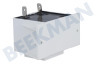 Hoover Wasmachine Spoel