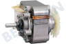 Caple Waschmaschine Lüftermotor