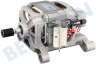 Zerowatt Wasmachine Motor Compleet