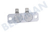 Candy Wasmachine Thermostaat bij element, 2 stuks