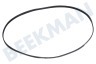 Beko Wasmachine Poly-V-snaar 5PJE 1277 TEM