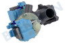 Beko Waschmaschine Pumpe Doppelt