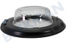 Hisense Wasmachine Vuldeur Compleet
