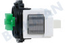 Gorenje Waschmaschine Pumpe Ablaufpumpe Leili