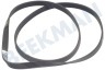 Hotpoint-ariston Wasdroger 92020, C00092020 Poly-V-snaar 1214 J5 = 1226 J5 MAEL