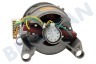 Blucher Wasmachine Motor kompleet