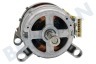 Blucher Wasmachine Motor kompleet