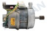 Blucher Wasmachine Motor kompleet