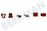 Miele Wasmachine Koolborstel breed -in houder- +rubber