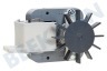 Miele Wasmachine Pomp zonder kap -GRE-