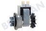 Miele Wasmachine Pomp zonder kap -GRE-