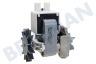 Miele Wasmachine Pomp zonder kap -GRE-