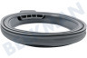 Hotpoint-ariston Wasmachine Manchet Manchet met ovale tuit