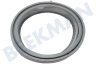 Bauknecht Waschmaschine Manschette Großes Modell