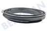 Samsung Waschmaschine DC97-18852A Manschette Mit Lippe und Ausguss