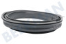 Samsung Waschmaschine DC97-18852A Manschette Mit Lippe und Ausguss