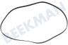Samsung Wasmachine 6602-003939 Snaar
