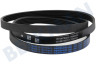 Samsung Wasmachine 6602-003939 Snaar