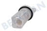 Samsung Waschmaschine Filter Einsatz der Pumpe