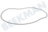 LG Waschmaschine Dichtungsgummi