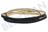 Haier Waschmaschine 0180300026 Dichtungsband