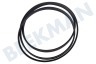 Haier Wasmachine 0020300503 Snaar 1202EPJ5