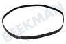 Haier Waschmaschine 0020300592 Antriebsriemen 1216EPJ6